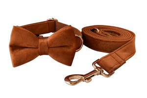 Set Kerah dan Tali Anjing Beludru Solid Mewah - Product Image 4