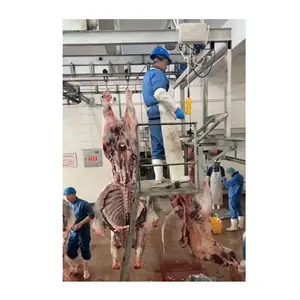 High Efficiency Halal Abattoir Cattle Slaughter Machine Cow Abattoirs Production Line For Butchery Equipment