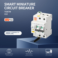 Interruptor de Circuito en Miniatura Inteligente EAST Tuya MCB, Tipo AC, Control Remoto Smart Life, Temporizador, 2P 63A YSM7W 2P Wifi