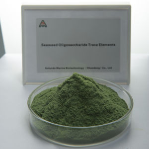 Pupuk Kompos daun rumput laut dengan elemen Nitrogen organik Fosfor Kalium meningkatkan hasil panen - Product Image 1