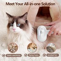 Brosse Humide et Vaporisante pour Chat et Chien, Épilateur de Poils d'Animaux avec Réservoir d'Eau, Brosse Nettoyante pour Chien et Chat Contre la Mue, Produit de Toilettage pour Animaux