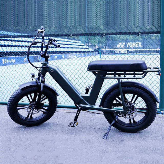 Greenpedel Ebike Fat Tire 48v 750w Electric Cargo Bicycle for Adults with Battery