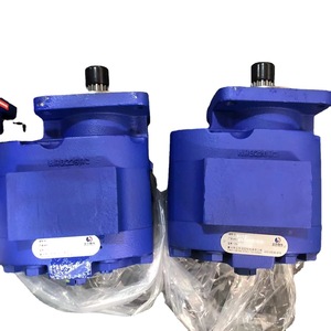 Huamao M76-SAE14F150-B Hydraulic Gear Motor for Drilling Rig Power Head | High Torque Heavy Duty Drive Motor - Product Image 6
