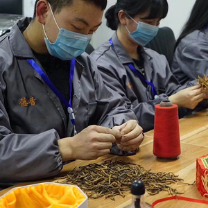 Chất lượng cao Cordyceps Sinensis chiết xuất Cordyceps Militaris chiết xuất - Product Image 6
