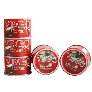 Production and sales of high quality 70g canned tomato ketchup