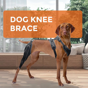 Attelle de genou réglable pour chien avec support métallique pour soulager l'arthrite et les lésions des ligaments croisés antérieurs et postérieurs, protection double pour les pattes - Product Image 4