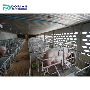 Tự động gia cầm lợn trang trại nhà thiết kế prefab ánh sáng Kết Cấu Thép piggery - Product Image 5