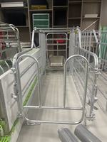 Nouvelle cage de gestation et d'accouchement pour porcs en acier tubulaire poli sur mesure, modèle Deba Brother, garantie 1 an, vente directe usine