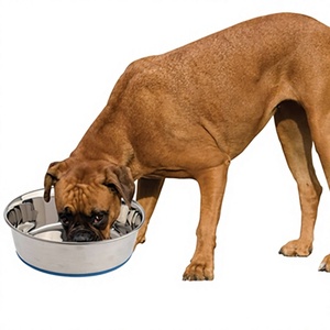 Bol pour chien en acier inoxydable à prix de gros, avec base en caoutchouc antidérapante, pour animaux de compagnie de petite, moyenne et grande taille, bols pour nourriture pour chien - Product Image 1