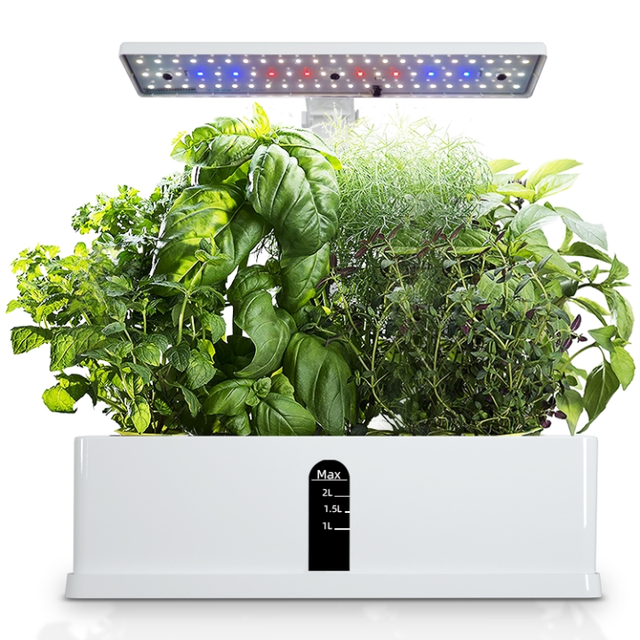 Hydroponics Growing System Indoor Garden Plant Growing Box Kit