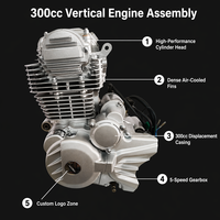 Moteur vertical haute performance 4 temps 300cc CB-F300 pour moto tout-terrain, refroidissement par air, Zongshen CQR, usine OEM ODM