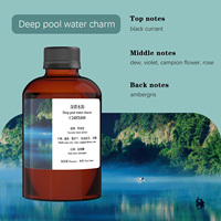 Prix de gros parfum aquatique huile essentielle charme d'eau de piscine profonde 2025 huiles parfumées tendance pour diffuseur d'arôme