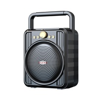Haut-parleur portable d'extérieur, système audio multifonctionnel pour la maison et la danse de rue, microphone, radio pour paiement par code QR et carte