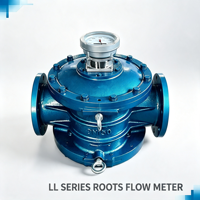 Débitmètre rotatif à bride en acier inoxydable série LL, léger, antidéflagrant CE, haute précision, pour applications pétrochimiques, eau/liquide, OEM