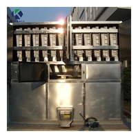 Grande machine à glaçons 220V 60Hz monophasé 1Ton Ice Cube Machine 1000kg