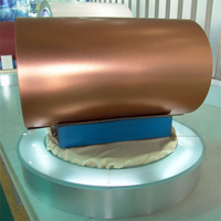 Fabrication de tôles de toiture ondulées / Rouleaux d'acier prélaqué (PPGI) économiques personnalisés / Revêtement couleur PPGI/galvanisé