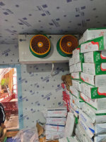 Unité de condensation à air refroidi durable et automatique à économie d'énergie avec compresseur scroll, ventilateur axial et pompe pour la réfrigération commerciale