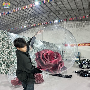 Bolas Decorativas Transparentes Resistentes para Conciertos, Flores Inflables Gigantes con Luces LED para Fiestas - Product Image 1