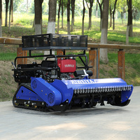Tondeuse à gazon RC avec logo personnalisé pour les chaînes de vente de matériel de jardinage et les vendeurs en ligne – Tondeuse à fléaux