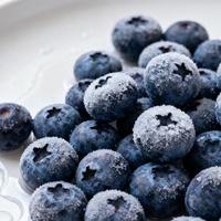 Myrtilles sauvages biologiques Meilleurs fruits frais cueillis en vrac non sucrés surgelés congélation IQF Compliments Prix de gros