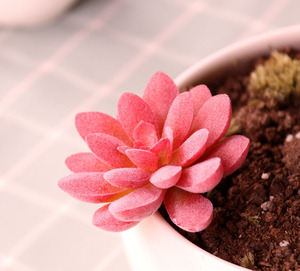 Succulentas <span class=keywords><strong>al</strong></span> <span class=keywords><strong>por</strong></span> <span class=keywords><strong>Mayor</strong></span>, Surtido <span class=keywords><strong>de</strong></span> Mini Cactus Decorativos, Arreglo Colgante para Interiores y Exteriores, Plantas Artificiales <span class=keywords><strong>Suculentas</strong></span> en <span class=keywords><strong>Venta</strong></span> - Product Image 5