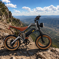 Vélo électrique à pneus larges 750W 48V 15.6Ah M20 Vélo de montagne électrique tout-terrain E-bike Stock USA Stock UE Stock UK Livraison rapide OEM TOP