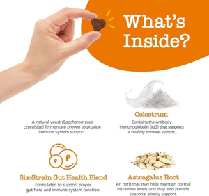 Friandises molles pour soulager les allergies chez les chiens, soulagement des démangeaisons cutanées, complément immunitaire pour chiens, anti-démangeaisons, allergies saisonnières - Product Image 3