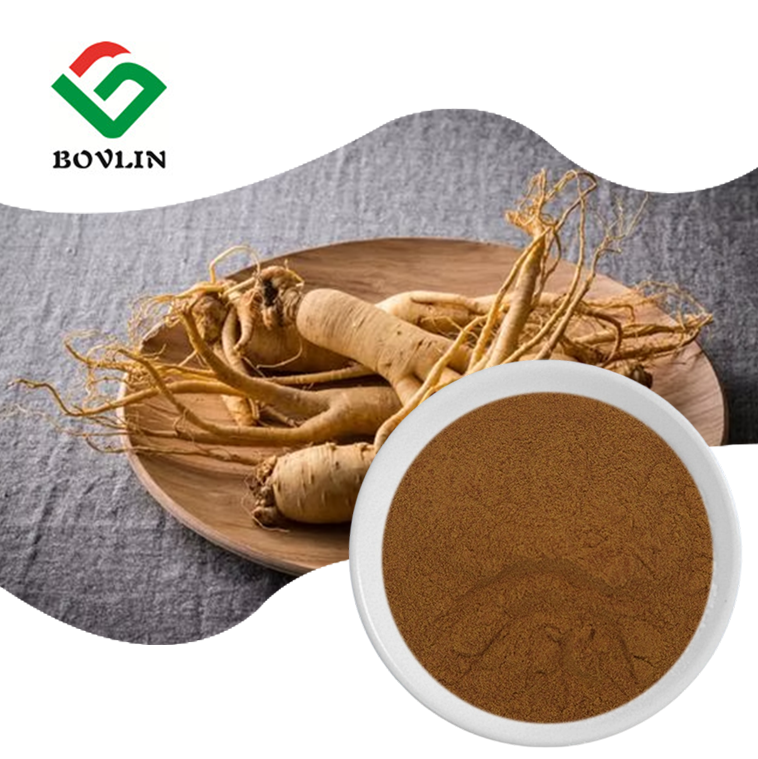 Natural Ginseng Root Extract Powder 3% 5% Ginsenoside Panax Ginseng (root) Extract Bulk
