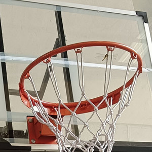 Sistema da Basket a Parete per Adulti per Interni ed Esterni con Tabellone, <span class=keywords><strong>Canestro</strong></span> e Altezza Regolabile - Product Image 3