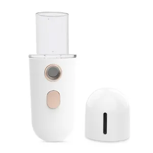 Best Seller prodotti di bellezza professionali Nano Mini Mist spruzzatore facciale vaporizzatore facciale portatile a vapore per il viso piccolo