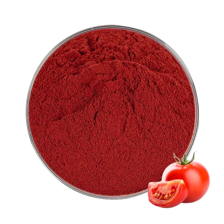 Hochwertiges Tomaten extrakt pulver in Lebensmittel qualität Lycopin pulver