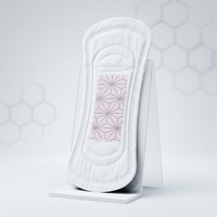 Serviettes hygiéniques jetables personnalisées hypoallergéniques de 155 mm avec noyau en graphène pour l'hygiène quotidienne féminine et protège-slips – Vente en gros