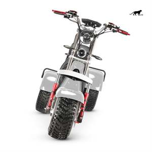 Tricycle électrique et solaire à écran LCD de 60V, 10 pouces, <span class=keywords><strong>125cc</strong></span>, moto à <span class=keywords><strong>3</strong></span> <span class=keywords><strong>roues</strong></span>, <span class=keywords><strong>scooter</strong></span> à <span class=keywords><strong>3</strong></span> <span class=keywords><strong>roues</strong></span>, 2000W, vente à chaud - Product Image 2