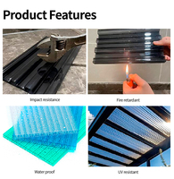 Panneaux de mur en polycarbonate transparent à transmission lumineuse, tuiles de toiture ondulées, protection UV, durables, écologiques, garantie 5 ans