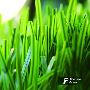 หญ้าเทียม Fuxuan สำหรับสนามฟุตบอลหญ้าเทียมขนาด50-60มม. มีมาตรวัด5/8สองสี - Product Image 4