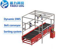 Sistema DWS Dinámico o Estático Integrado con Dimensionamiento Automático de Paquetes, Pesaje y Escaneo de Códigos de Barras para Logística de Paquetería