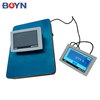 Contrôleur de pesage BNXY-IN Série BOYN, indicateur à écran tactile intelligent, acier inoxydable, étanche, OEM, capacité 10-30 kg, RS232/USB