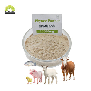 동물 사료 5000 U/g 10000 U/g 가금류 사료 고순도 Phytase 효소 가격 구매 - Product Image 3