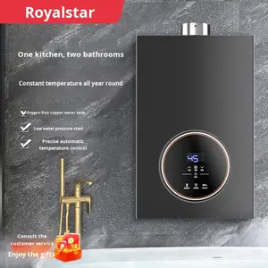 Usine de gros de haute qualité 6/7/8/10/12L chauffe-eau à gaz sans réservoir 13/15/16/20/24/32/36/40L chaudière à gaz instantané GPL/NG Geyser - Product Image 3