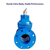 Vanne à opercule manuelle en fonte ductile à bride avec verrouillage magnétique et joint souple CZ45X-16Q NRS DN50-DN300 pour la protection des compteurs d'eau