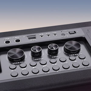 Reproductor de Karaoke portátil con dos micrófonos, inalámbrico, altavoz DSP de alta calidad para transmisión en vivo - Product Image 5