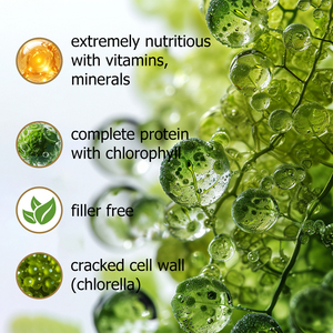 Comprimés de spiruline et de chlorelle à marque privée OEM, riches en chlorophylle avec vitamine A, favorisant la santé digestive - Product Image 6