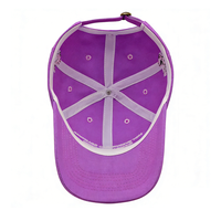 Gorra de Béisbol Unisex de Lona, 100% Algodón, 6 Paneles, con Logotipo Bordado en 3D Personalizado, Deportiva, Urbana, Ajustable, para las 4 Estaciones