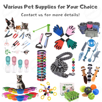 Kit de démarrage personnalisé pour chiots, accessoires pour animaux de compagnie pour chiens de petite et moyenne taille