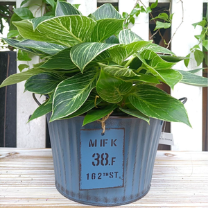 <span class=keywords><strong>Bassin</strong></span> en fer binaural Offre Spéciale <span class=keywords><strong>ornement</strong></span> de <span class=keywords><strong>jardin</strong></span> bassins bas avec motif vertical pour décor de bureau de cour et de villa - Product Image 4