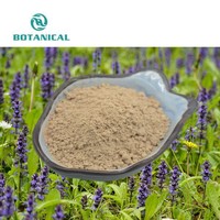 Capsules de Turkesterone 500mg 1000mg à Marque Blanche – Supplément Anabolisant Naturel de Turkesterone à Force Maximale en Vente