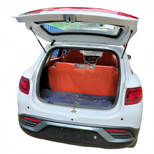 Veicoli Elettrici <span class=keywords><strong>Sportivi</strong></span> Estivi Personalizzati all'Ingrosso, Velocità 80Km/H, Piccoli Veicoli Elettrici Utilitari - Product Image 3