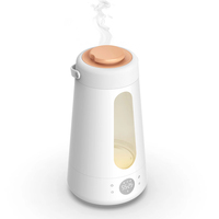 Hotsy 100% humidificateurs chauffants verre coréen brume chaude diffuseur d'huile d'air 3L acier inoxydable humidificateur chauffant ménage