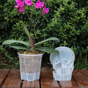 All'ingrosso chiaro vivaio autoinnaffiante piantatore orchidea PP vasi di fiori in plastica trasparente per le piante