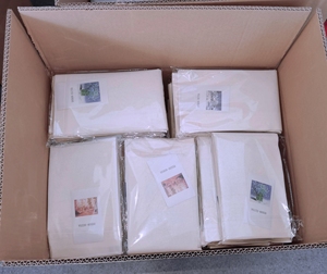 Pittura con i numeri paesaggio naturale pittura a olio con i numeri <span class=keywords><strong>per</strong></span> <span class=keywords><strong>adulti</strong></span> disegno su tela autunno dipinto a mano decorazioni <span class=keywords><strong>per</strong></span> la casa regali - Product Image 6